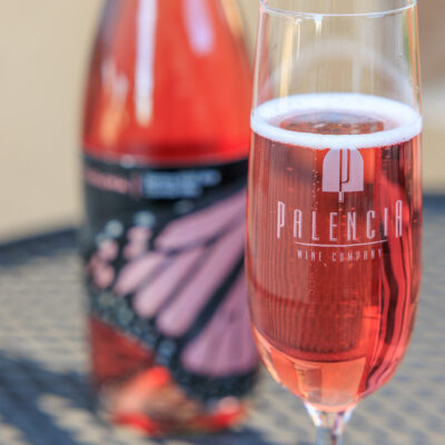 Sparkling Wine from Monarcha Winery at Columbia Gardens Wine and Artisan Village