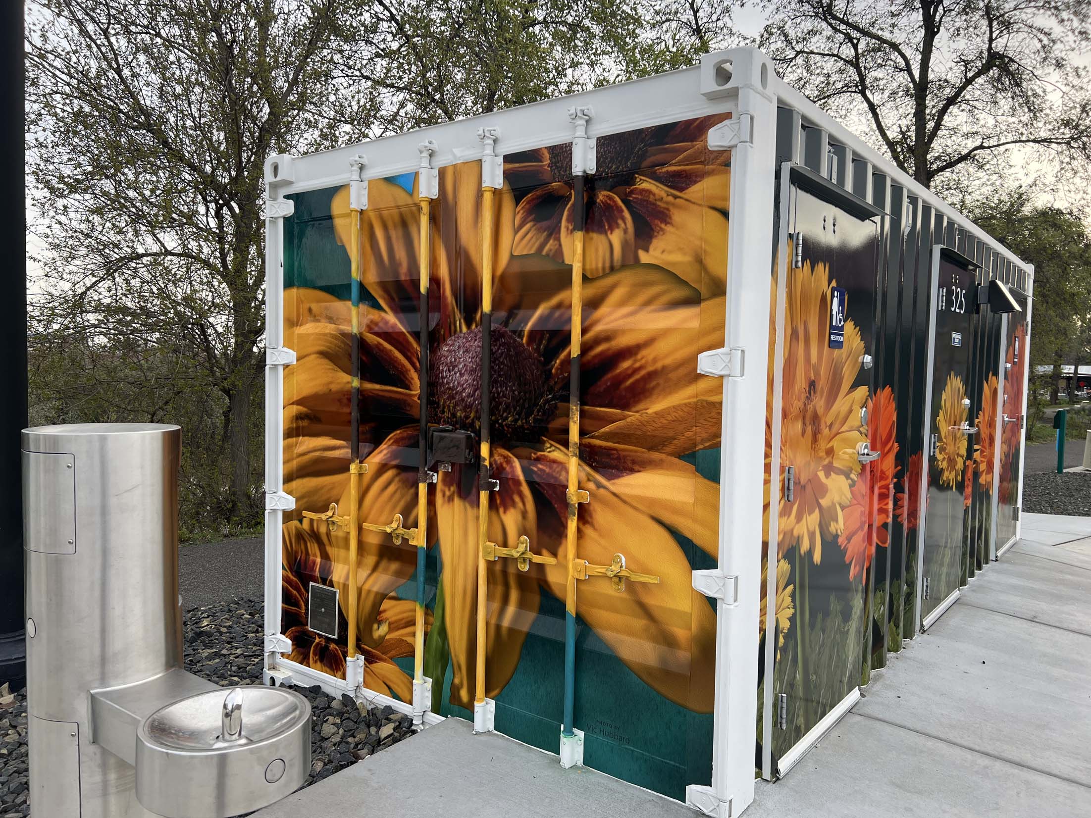 Stylized images of Heliopsis False Sunflowers and Black-Eyed Susans span the front and one end of a shipping container art wrap at Columbia Gardens.