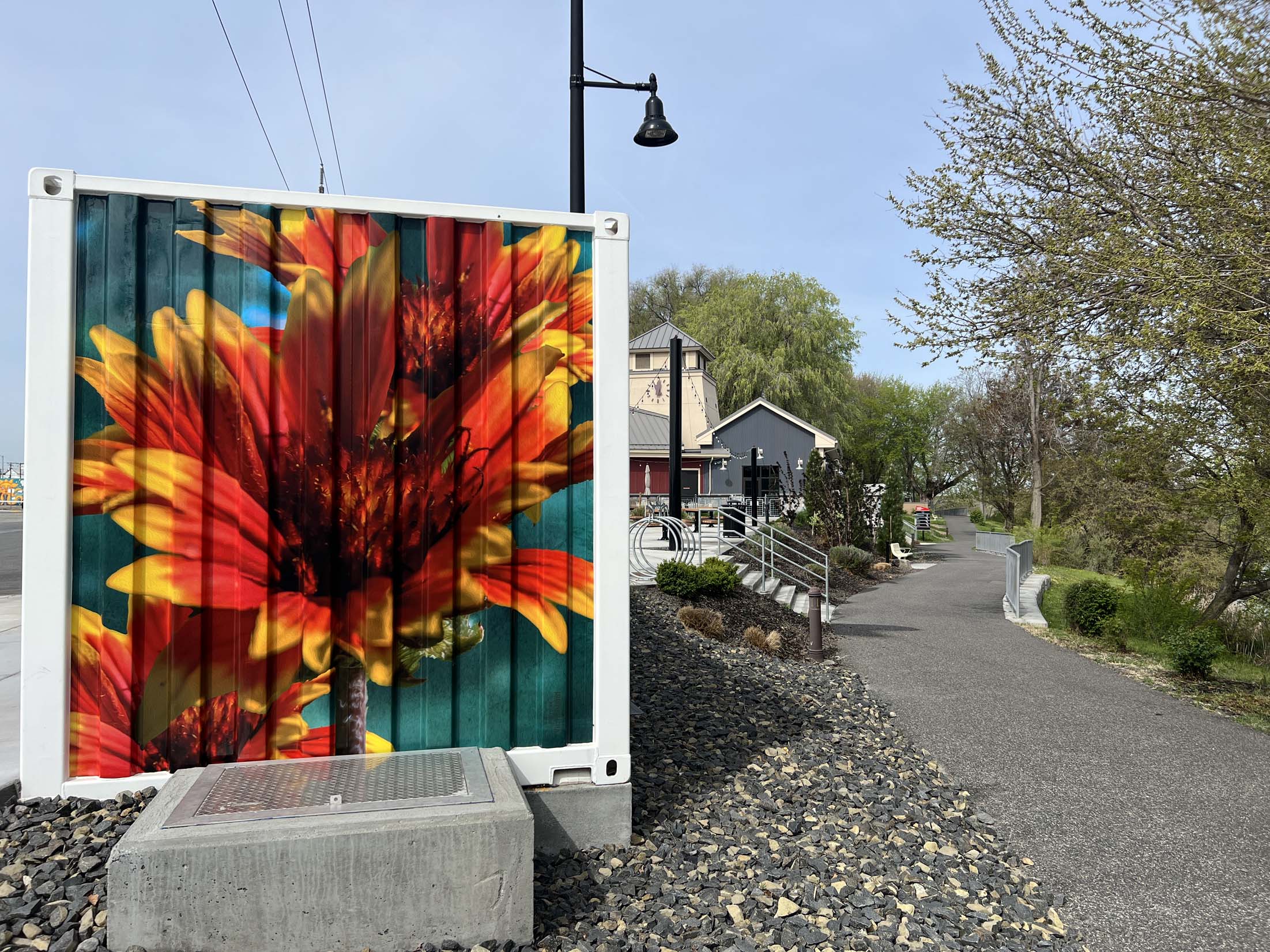 Gaillardia Blanket Flowers fill one end of a shipping container art wrap at Columbia Gardens.