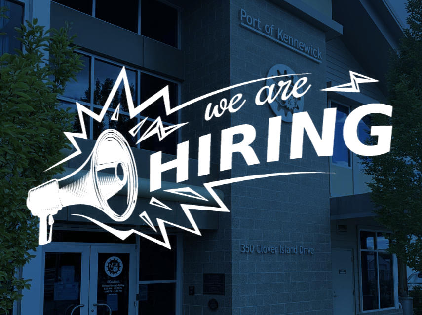 We are hiring graphic.