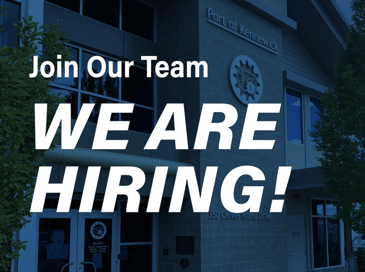 We are hiring graphic.